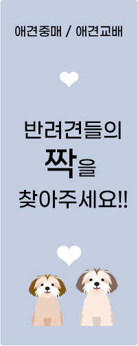 반려견들의 짝을 찾아주세요!!